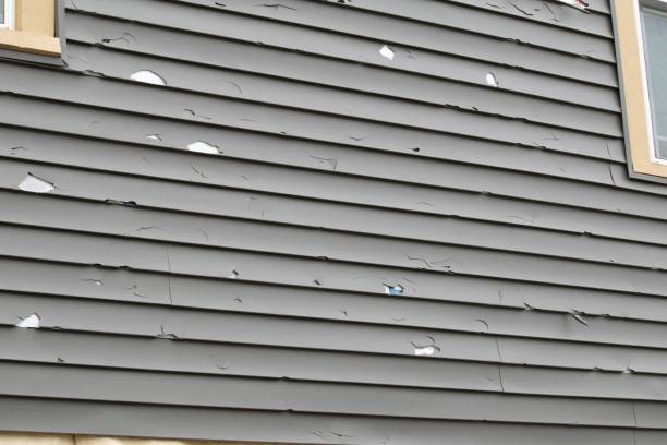 Best Composite Siding  in North Shore, VA